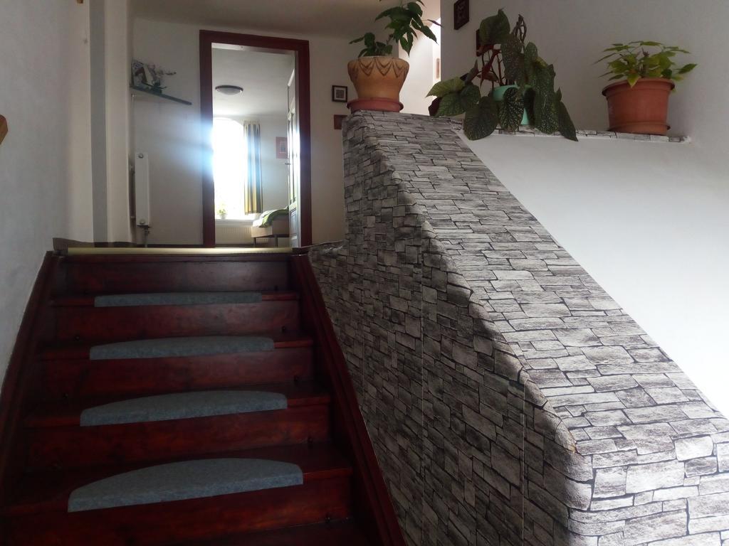 Apartment Krkonosska Танвальд Экстерьер фото