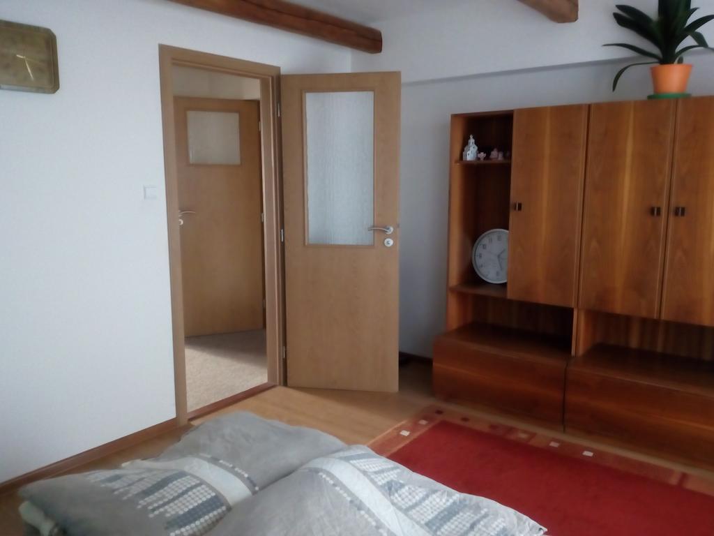 Apartment Krkonosska Танвальд Экстерьер фото